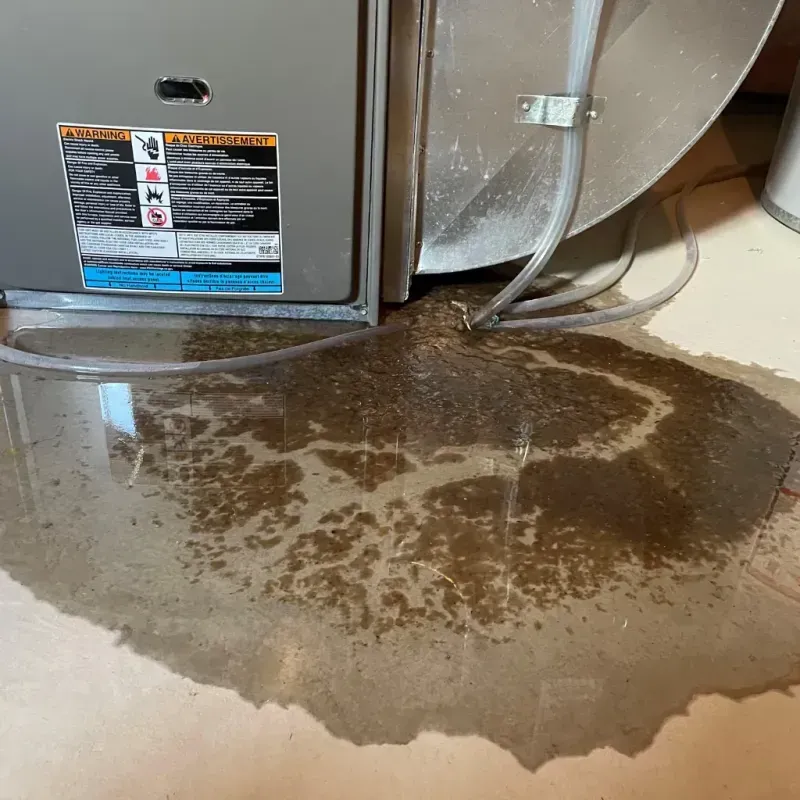 Appliance Leak Cleanup in Salisbury, VT